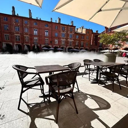 1- Hyper Centre - Coeur De Montauban-tous Commerces A Pied Apartment *